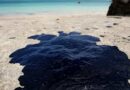 Organización internacional califica de ‘insuficiente’ gestión de Pemex por derrame en Golfo de México